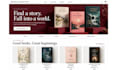 design or develop a professional wix author website for book authors