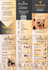 design a professional business brochure