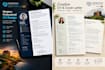 design a professional CV and resume
