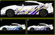 create professional racing drift car wrap design