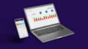 develop a custom website frontend backend as a full stack web developer