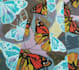 paint vibrant butterfly abstract pattern art