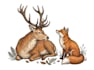 hand drawn wildlife vector animal illustration