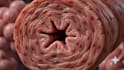 create 3d pharmaceutical moa and drug mechanism animation