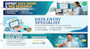do professional data enty
