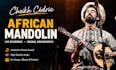 record authentic african mandolin and create instrumental arrangements