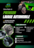 design professional flyers posters and flyers
