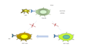 create scientific illustrations, and graphical abstracts