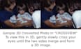convert your 2d photos into stereoscopic 3d images