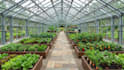 create a custom 3d greenhouse design and layout plan
