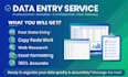 accurate data entry copy paste web research and excel work