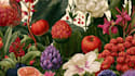design custom botanical flower and plant illustrations