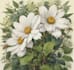 hand paint botanical illustrations