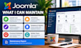 update and maintain your joomla website professionally