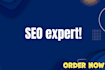 rank website and business with seo methods