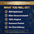 write SEO blog posts, website content and articles