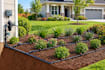 design sprinkler, drip, bubbler irrigation system for your landscape