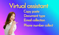 do data entry, web research, lead generation, and copy paste