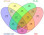 perform microbial genome analysis