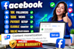 deliver a fully facebook content monetization setup page