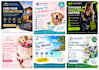 design professional flyers in canva