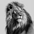 draw hyper realistic animals