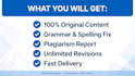 write essay and do academic writing assignment