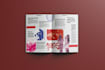 editorial design, magazines, brochures, flyers