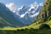 design a landscape illustration