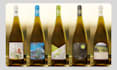 design packaging for you