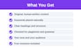 write SEO blog posts and articles on any topic