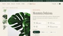 design and develop a professional shopify plant store