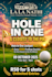 design a professional poster, flyer, or advertisement