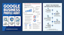 audit your google business profile