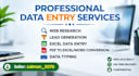 do professional data entry and b2b lead generation