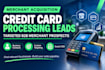 provide targeted credit card processing leads  merchant leads