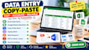 do data entry, copy paste and excel data entry