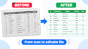 convert PDF or image to editable excel or word