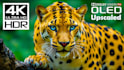 upscale your low resolution image into 4k image