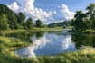 professional vector landscape illustration