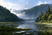modern watercolor landscape illustration