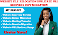 website file redesign relocation duplicate URL https recovery copy migrat