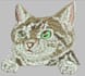 do professional embroidery digitizing with wilcom