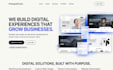be your expert web developer to customize or fix your website