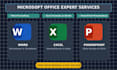 expert in ms word excel and powerpoint