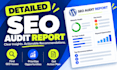 do wordpress website SEO audit and optimization