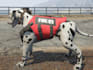 create custom gta 5 peds, fivem peds, props, and animal models