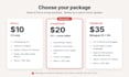 write a professional swiss CV