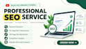 provide expert youtube SEO for video optimization