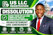 close your US llc and complete the llc dissolution process